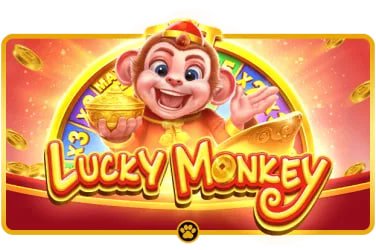 333db price