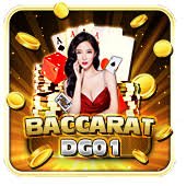 333db price