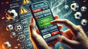 333db price